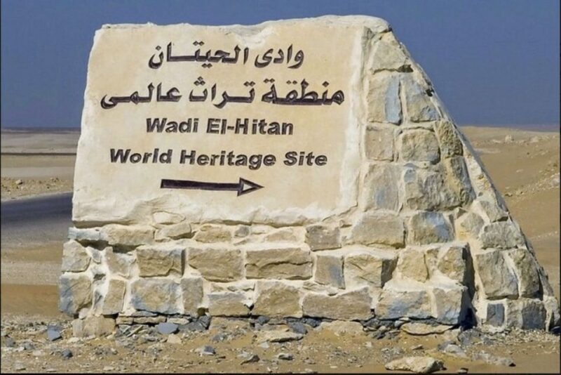 From Cairo: Whale Valley and Wadi El Rayan Waterfalls Tour - Key Points