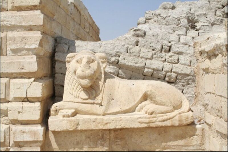From Cairo: Whale Valley and Wadi El Rayan Waterfalls Tour - The Itinerary in Detail