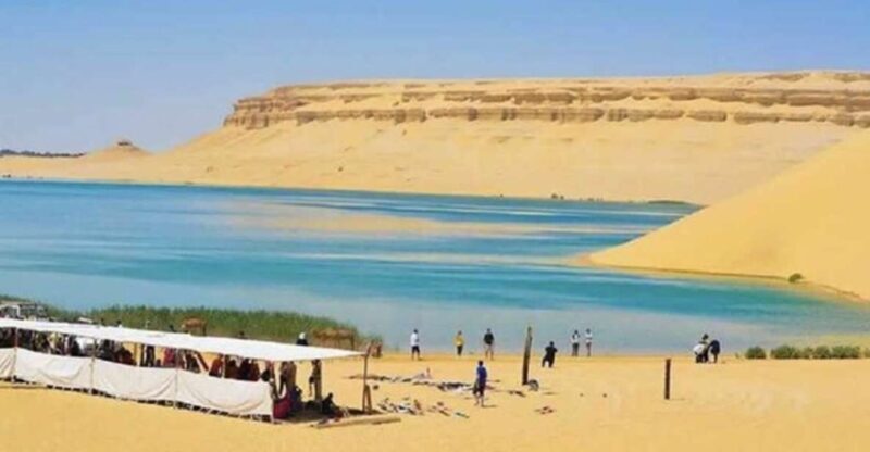 From Cairo: Whale Valley and Wadi El Rayan Waterfalls Tour - Practical Considerations and Value for Money