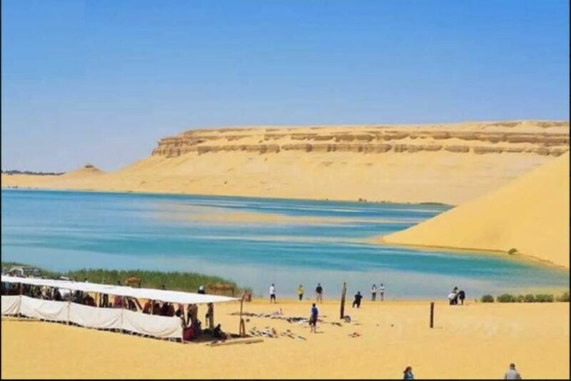 From Cairo: Whale Valley and Wadi El Rayan Waterfalls Tour - Final Thoughts: Who is This Tour Best For?