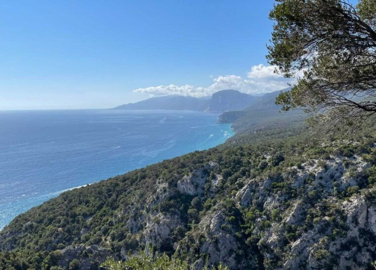 from-cala-gonone-food-wine-and-craft-tours-in-dorgali