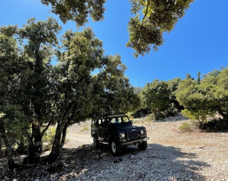 from-cala-gonone-food-wine-and-craft-tours-in-dorgali