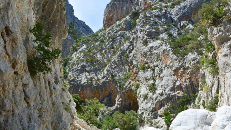 from-cala-gonone-gorropu-hiking-with-lunch