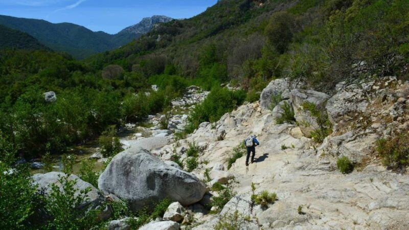from-cala-gonone-gorropu-hiking-with-lunch