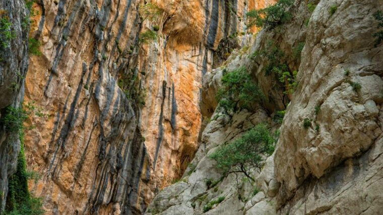 from-cala-gonone-gorropu-hiking-with-lunch