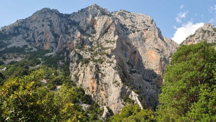 from-cala-gonone-gorropu-hiking-with-lunch