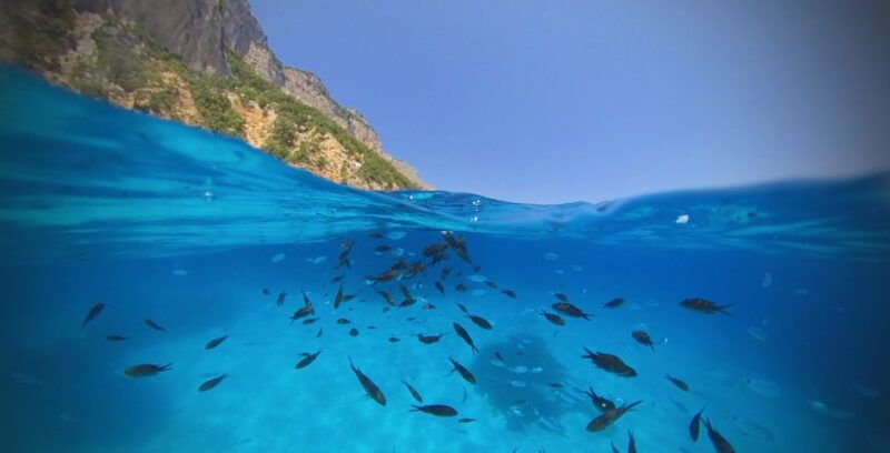 from-cala-gonone-gulf-of-orosei-speedboat-trip-and-aperitif