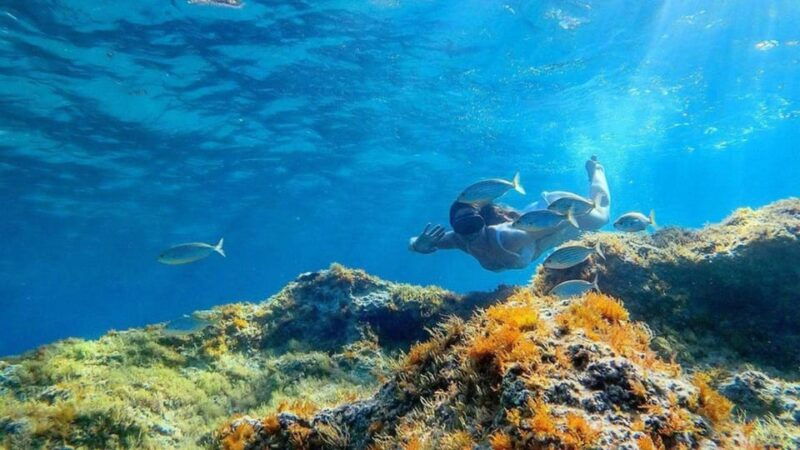 from-cala-gonone-snorkeling-in-the-orosei-gulf