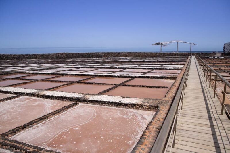 from-caleta-de-fuste-explore-rural-fuerteventura-tour