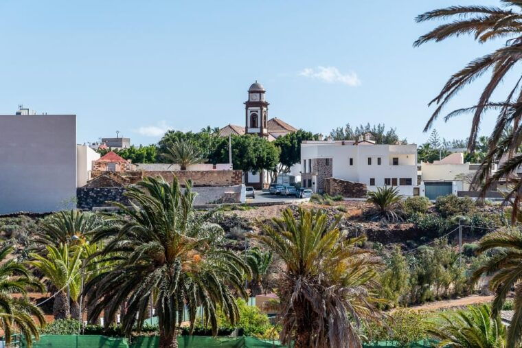 from-caleta-de-fuste-explore-rural-fuerteventura-tour