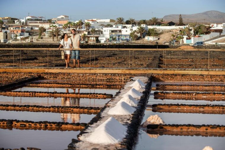 from-caleta-de-fuste-explore-rural-fuerteventura-tour