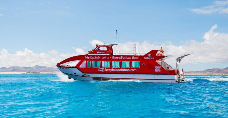 from-caleta-de-fuste-return-bus-and-ferry-to-lobos-island