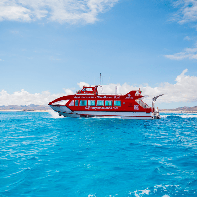 from-caleta-de-fuste-return-bus-and-ferry-to-lobos-island