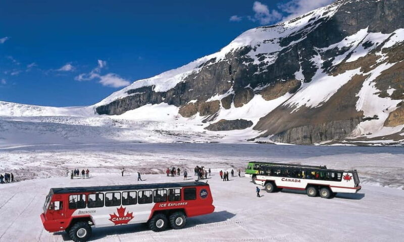 From CalgaryColumbia Icefield, Peyto & Bow Lakes Day Trip - The Columbia Icefield & Athabasca Glacier