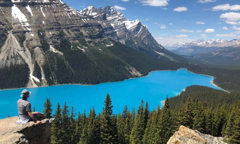 From CalgaryColumbia Icefield, Peyto & Bow Lakes Day Trip - Who Will Love This Tour?