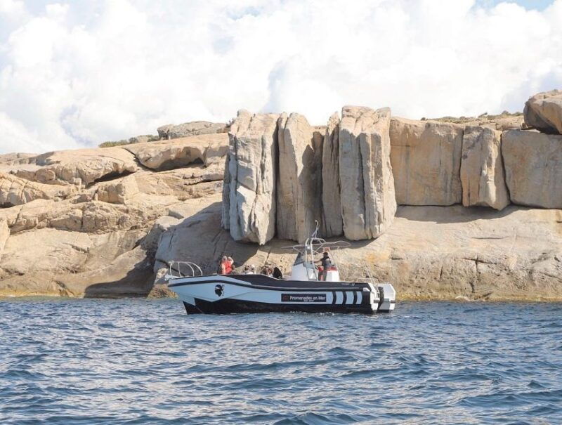 from-calvi-2-hour-sunset-cruise-to-revellata-peninsula