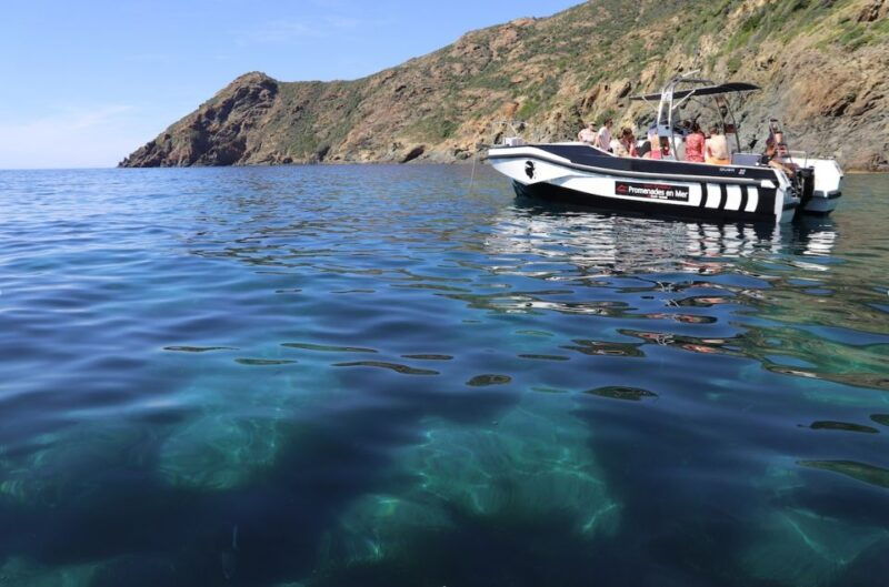 from-calvi-2-hour-sunset-cruise-to-revellata-peninsula