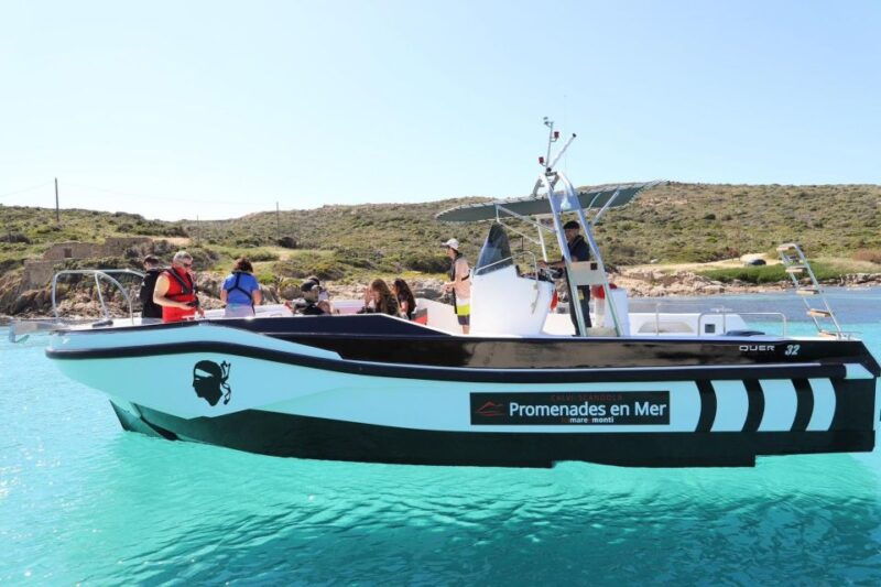 from-calvi-2-hour-sunset-cruise-to-revellata-peninsula