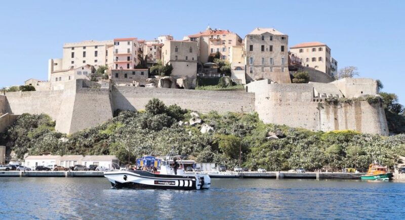 from-calvi-2-hour-sunset-cruise-to-revellata-peninsula