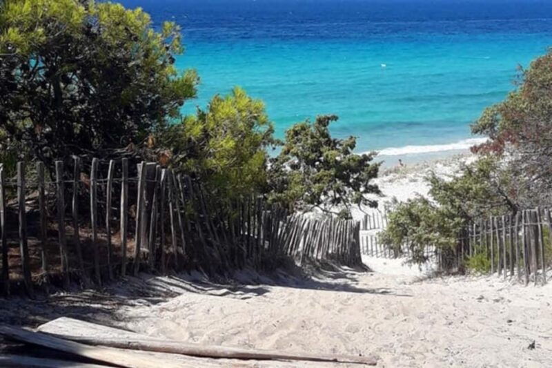 from-calvi-4x4-day-tour-mountain-agriates-saleccia-beach