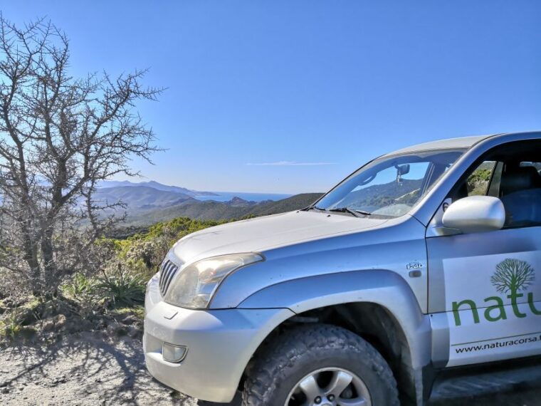 from-calvi-4x4-day-tour-mountain-agriates-saleccia-beach