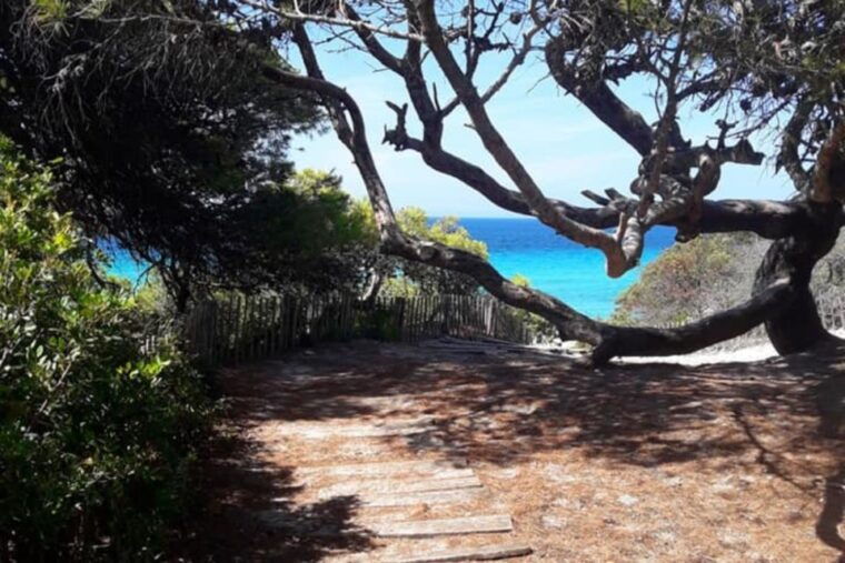 from-calvi-4x4-day-tour-mountain-agriates-saleccia-beach