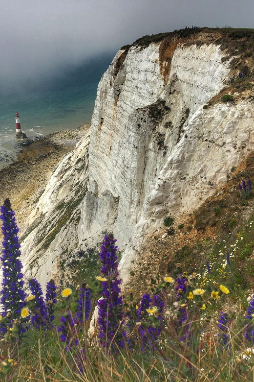 from-cambridge-guided-day-trip-to-brighton-beachy-head