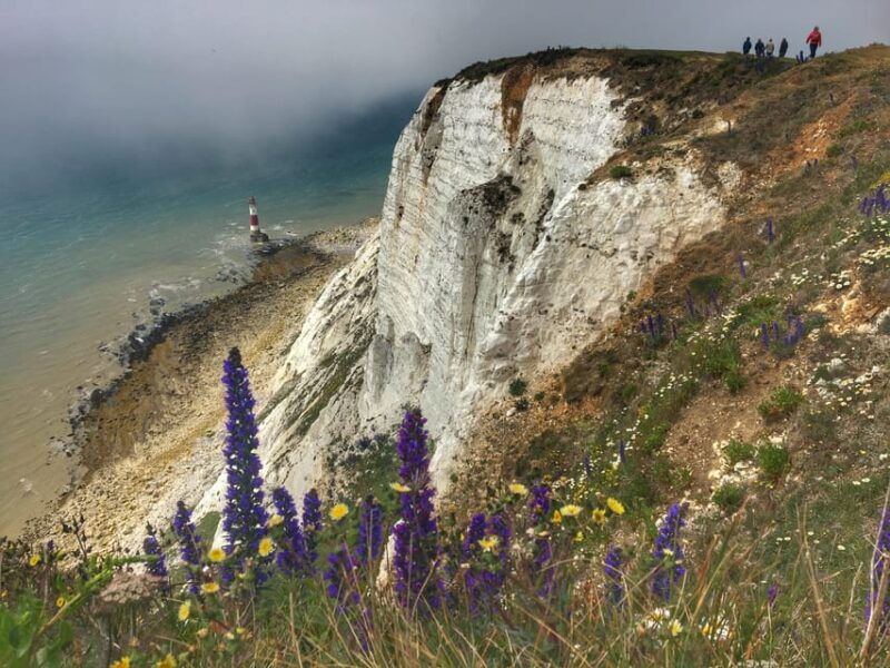 from-cambridge-guided-day-trip-to-brighton-beachy-head