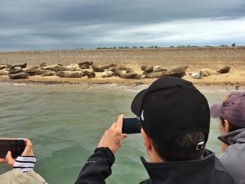 from-cambridge-guided-day-trip-to-the-north-norfolk-coast