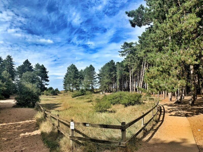 from-cambridge-guided-day-trip-to-the-north-norfolk-coast