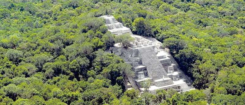 From Campeche: Calakmul Guided Nature and History Day Trip - Key Points