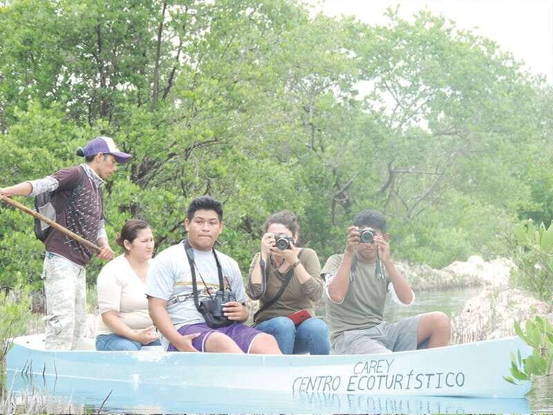 From Campeche: Flamingo Private Tour - Cultural Experiences: The Market and Meliponario Visit