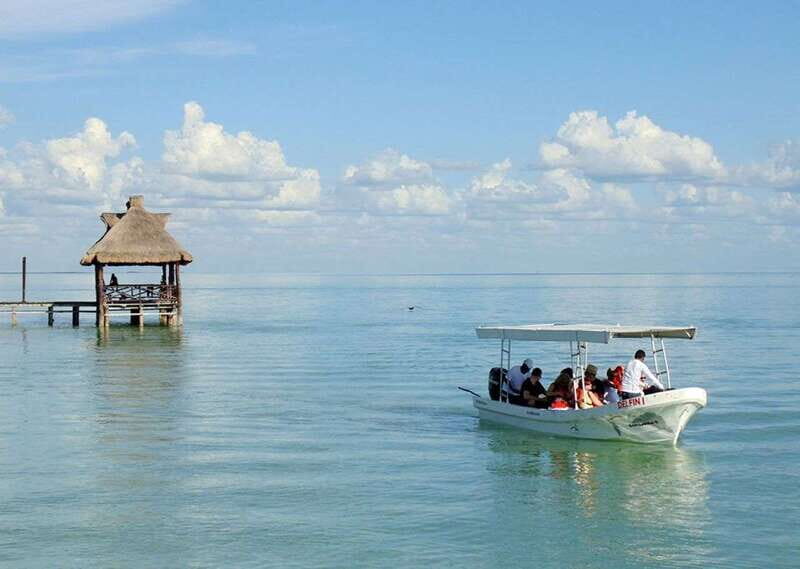 From Campeche: Isla Aguada Dolphin Encounter Tour - The Value of the Experience