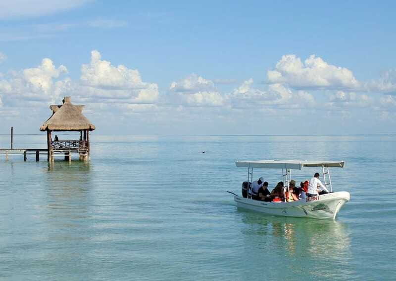 From Campeche: Isla Aguada Dolphin Encounter Tour - Who This Tour Is Best For