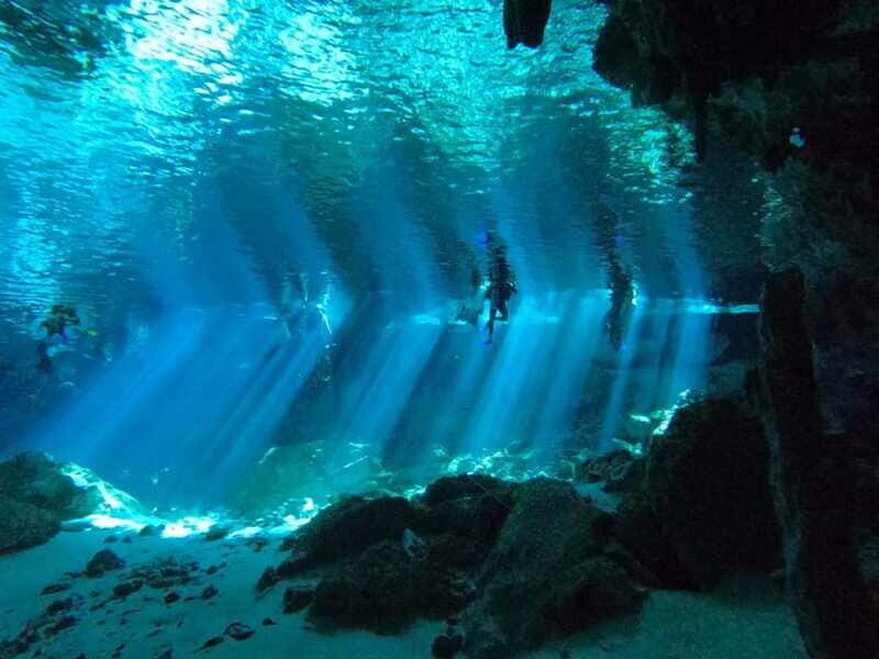 From Cancun: 2 Dives in Cenote Dos Ojos for Certified Divers - Authentic Insights from Reviewer Feedback