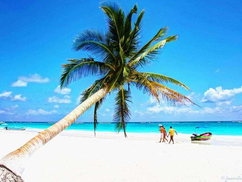 From Cancun: Aquatic Adventure in Tulum - The Value of the Experience