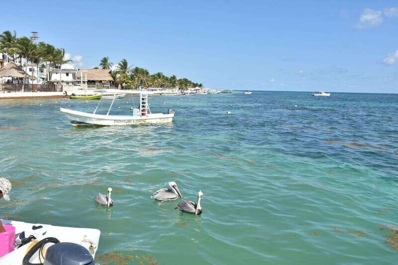 From Cancun: ATV EXPRESS Cenote Adventure with lunch - What Makes This Tour Stand Out?