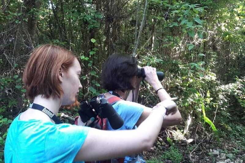 From Cancun: Bird Watching Day Tour - The Sum Up