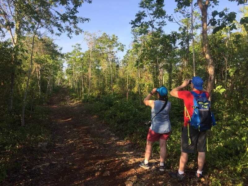 From Cancun: Bird Watching Day Tour - Frequently Asked Questions (FAQs)