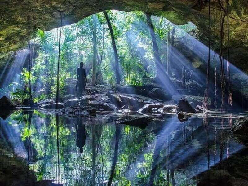 From Cancun: Chikin Ha Cenote Diving Experience - An In-Depth Look at the Chikin Ha Cenote Diving Experience