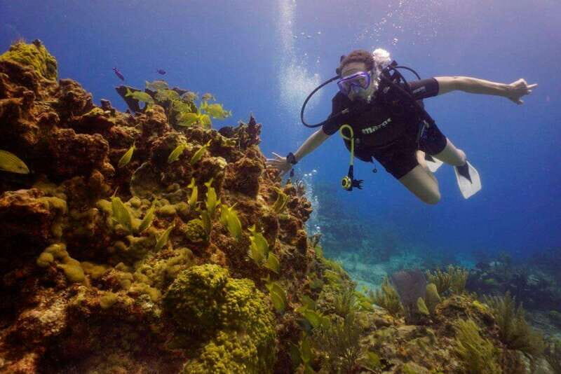 From Cancun: Chikin Ha Cenote Diving Experience - Final Thoughts