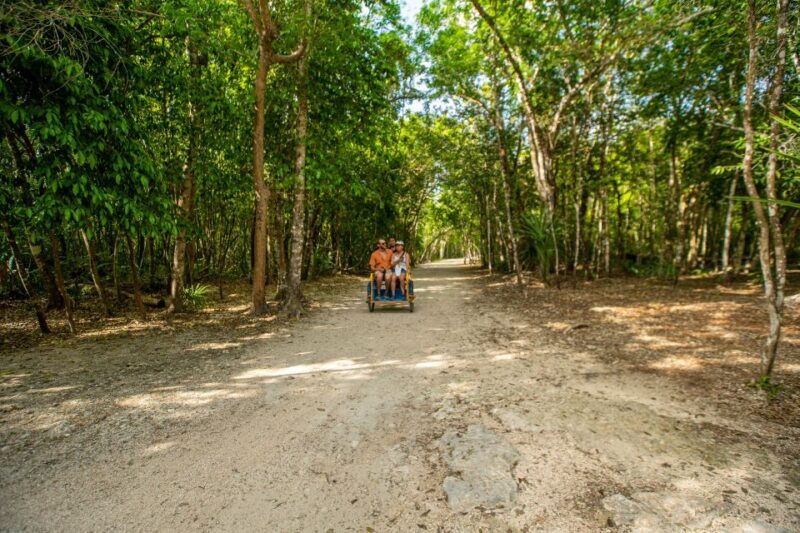 from-cancun-coba-cenote-tulum-and-playa-del-carmen-tour