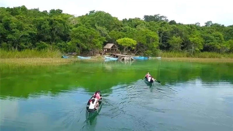 From Cancun: Coba Ruins and Punta Laguna Day Trip - Authentic Experiences Highlighted by Reviews