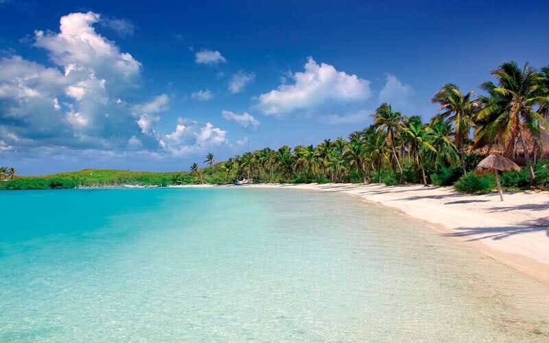 From Cancun: Contoy and Isla Mujeres Day Tour - A Deep Dive into the Day Tour