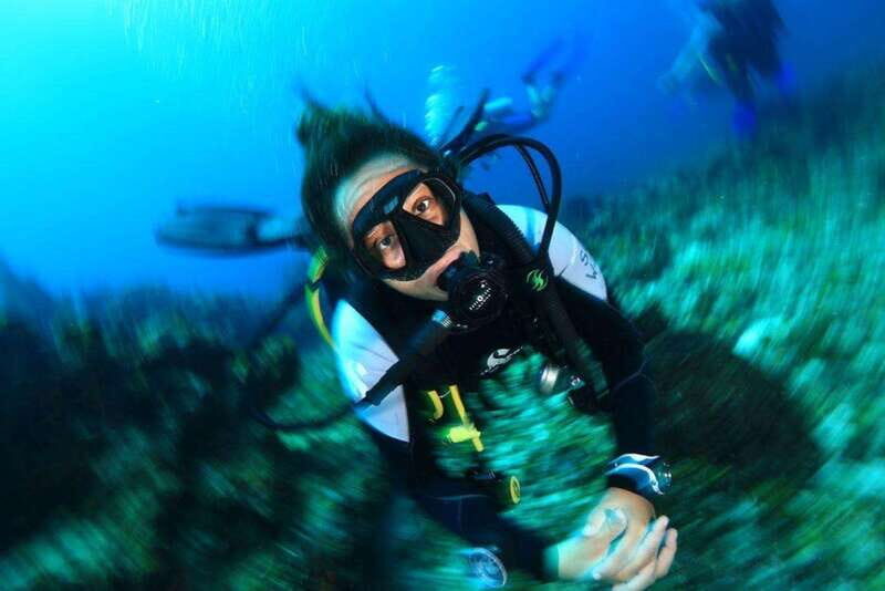 From Cancun: Diver Courses in Cozumel - Key Points