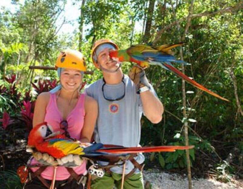From Cancun: Extreme Canopy Adventure Tour - What Is the Extreme Canopy Adventure Tour?