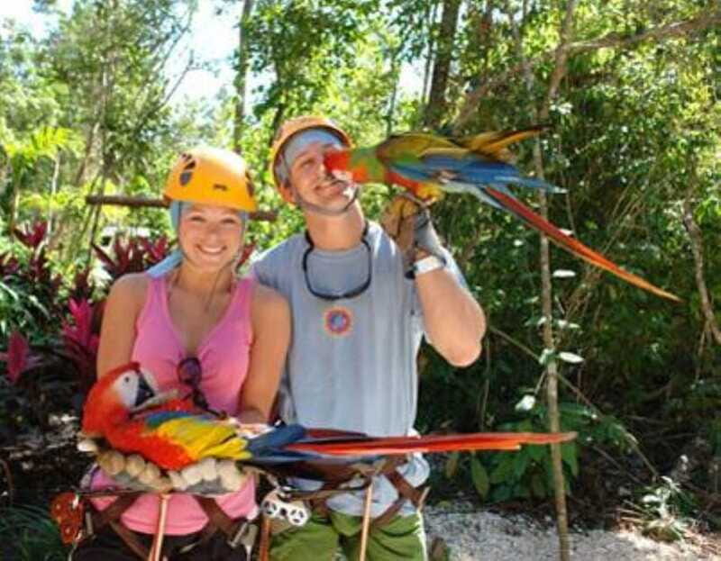 From Cancun: Extreme Canopy Adventure Tour - Value for Money