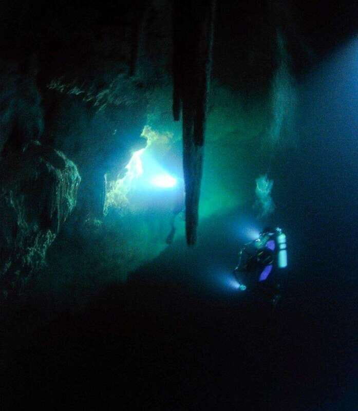 From Cancun: Fast Boat Cozumel Diving Experience - Key Points