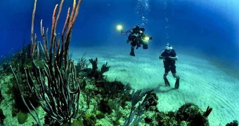 From Cancun: Fast Boat Cozumel Diving Experience - FAQ