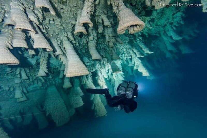 From Cancun: Kin Ha & Hell's Bells Cenote Diving Experience - Final Thoughts